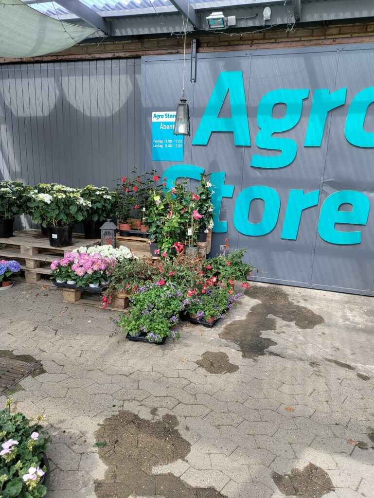 Agrostore.dk - blomster